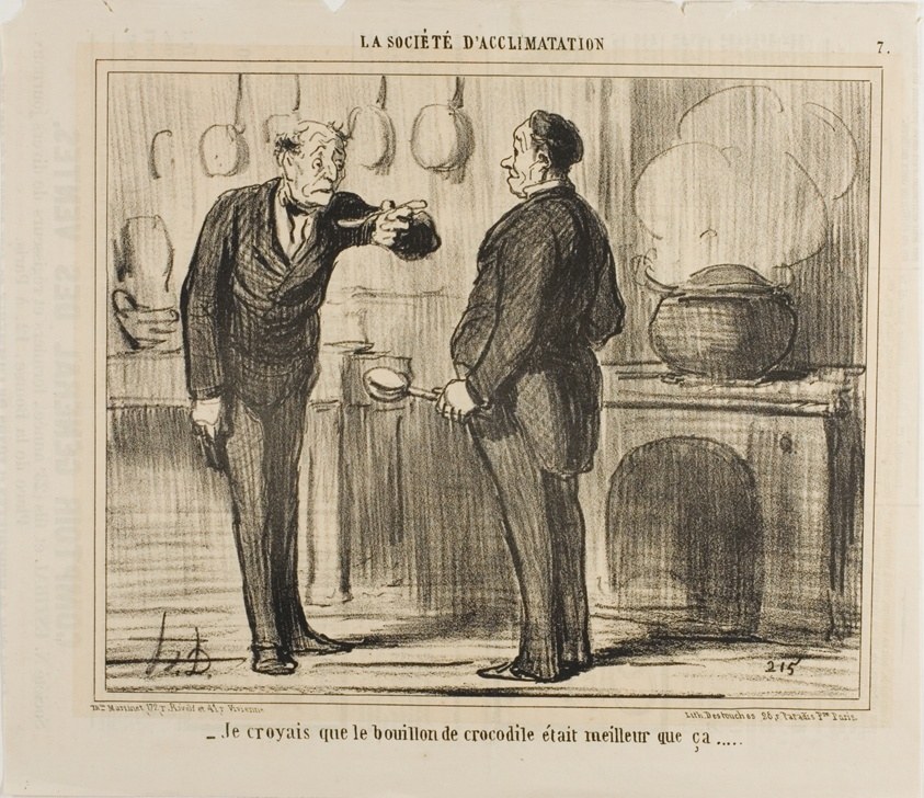 “- I actually thought a crocodile soup would taste better than that,” plate 7 from La Sopciété D'acclimatation