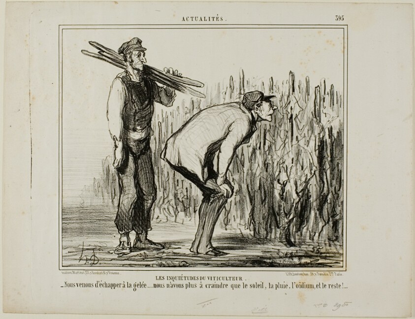 The Worries of a Wine Grower. “- We escaped the frost..... all we now have to worry about is the sun, the rain, the vine-mildew and all the rest...,” plate 397 from Actualités