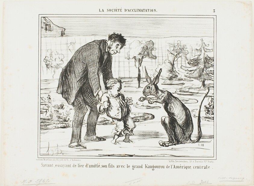 A Scientist Trying to Befriend His Son with a Great Kangaroo from Central America, plate 3 from La Société D'acclimatation