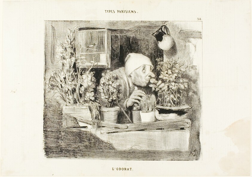 Smell, plate 38 from Types Parisiens