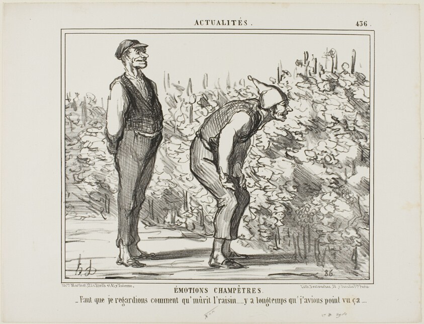 Emotions From the Countryside. “- Have to see how the wine grows… haven't never seen it before…,” plate 436 from Actualités
