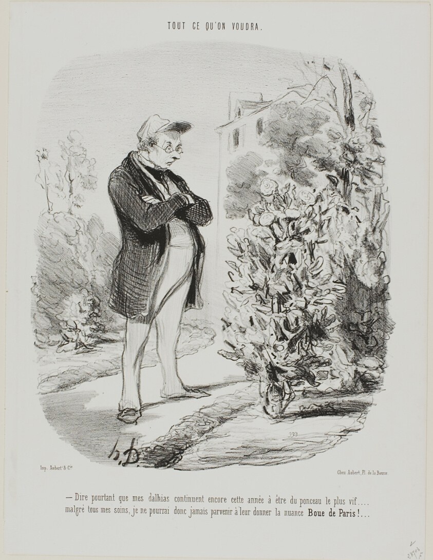 “- Dire pourtant que mes dahlias continuent encore cette année à être du ponceau le plus vif . . . . malgré tous mes soins, je ne pourrai donc jamais parvenir à leur donner la nuance Boue de Paris !...,” plate 6 from Tout Ce Qu'on Voudra