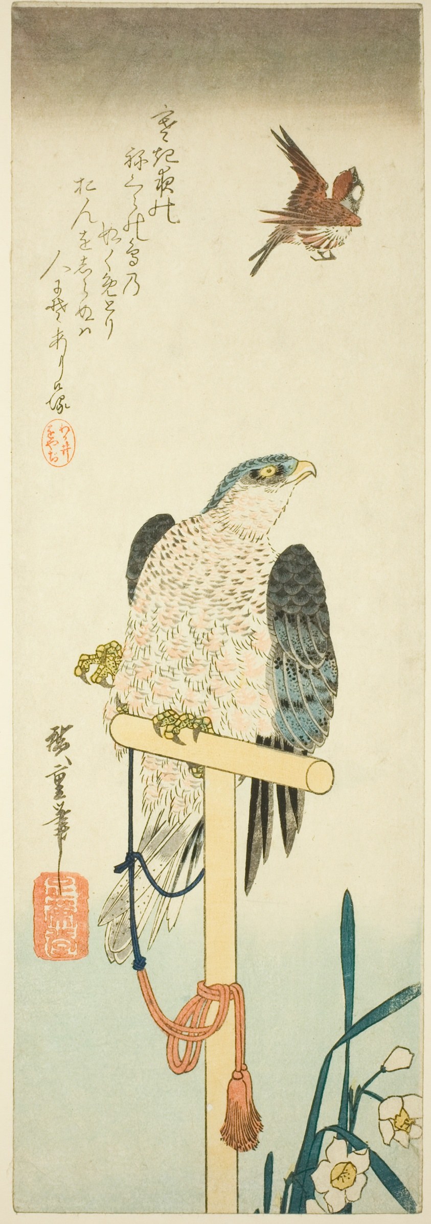 Falcon, sparrow, and narcissus