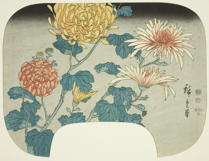 Chrysanthemums