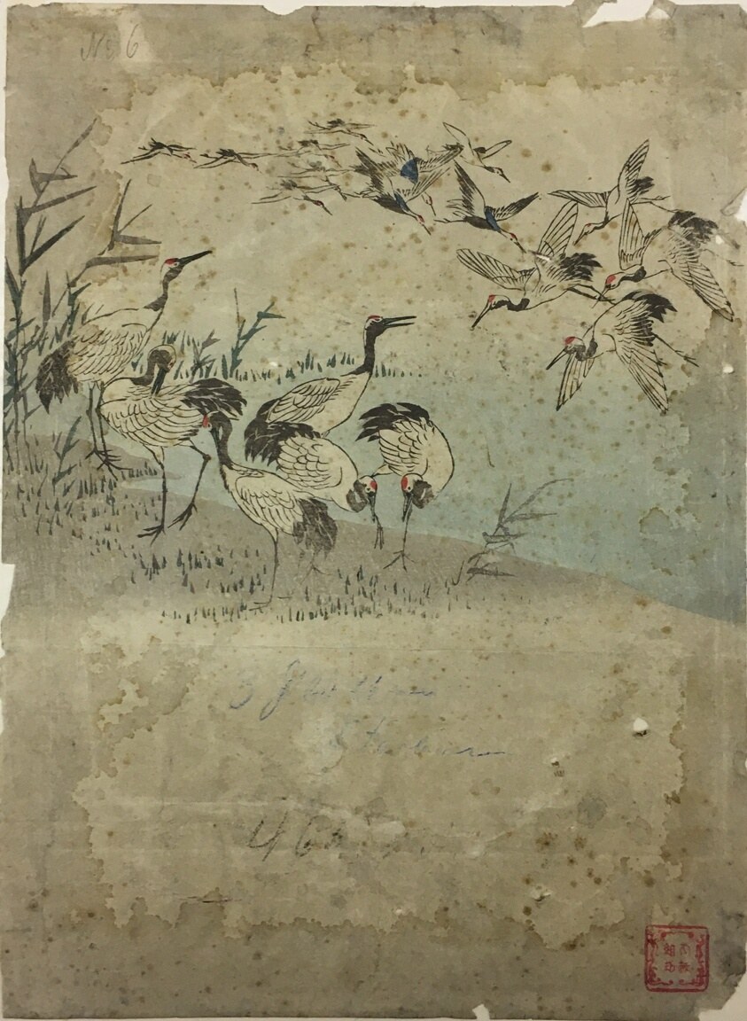 Herons Among Grasses