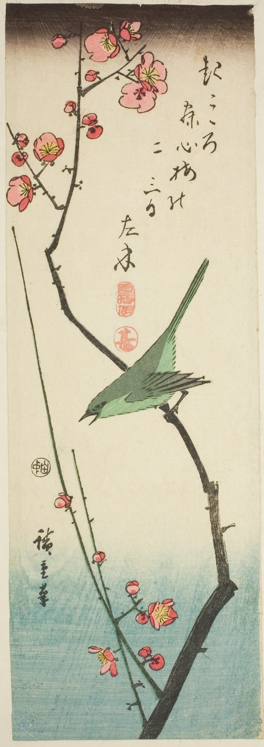 Bush warbler on plum branch
