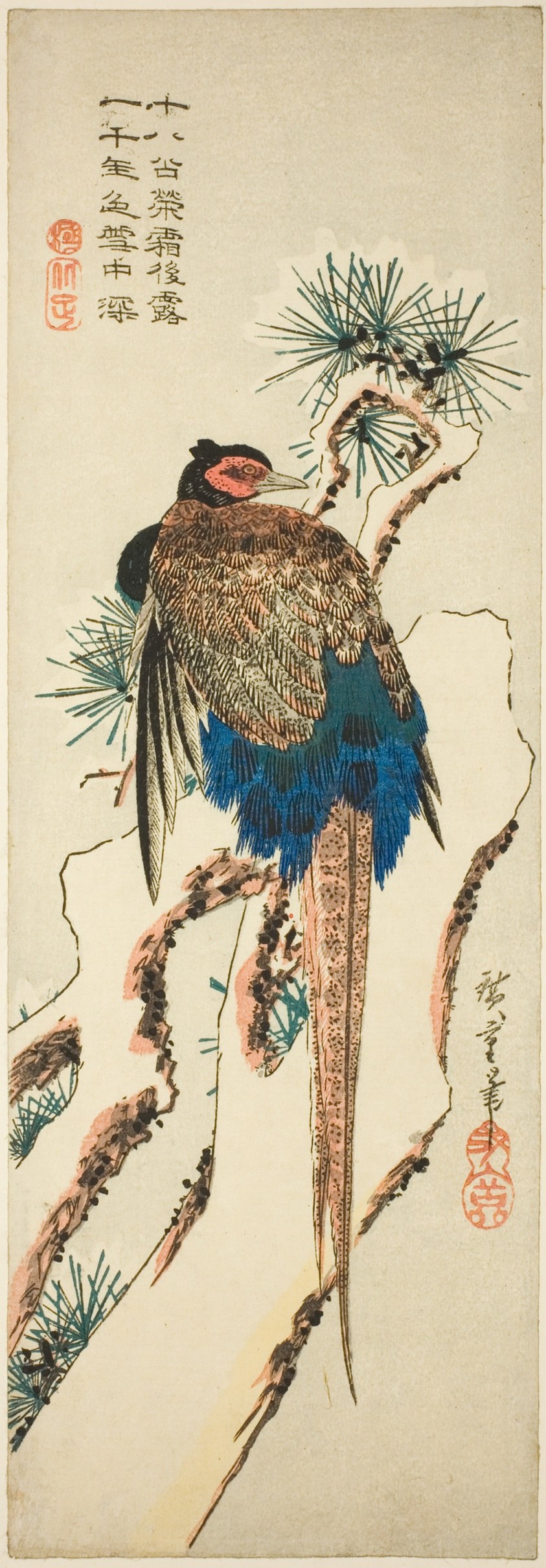 Pheasant on a Snow-Covered Pine Tree