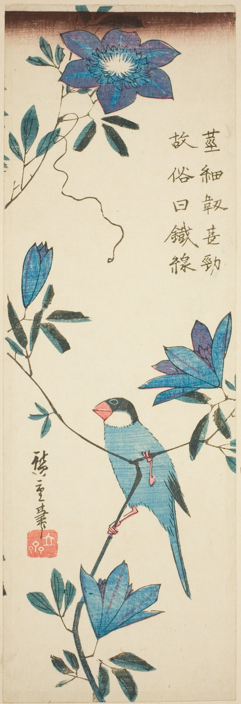 Java sparrow and clematis