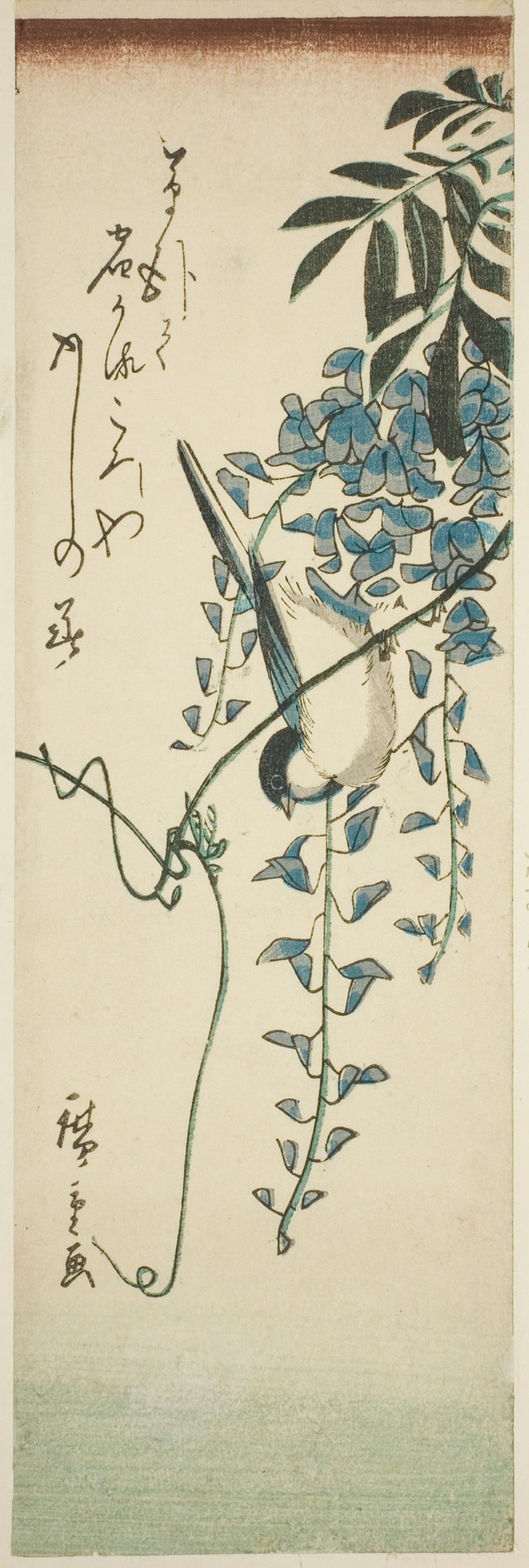 Bird and wisteria