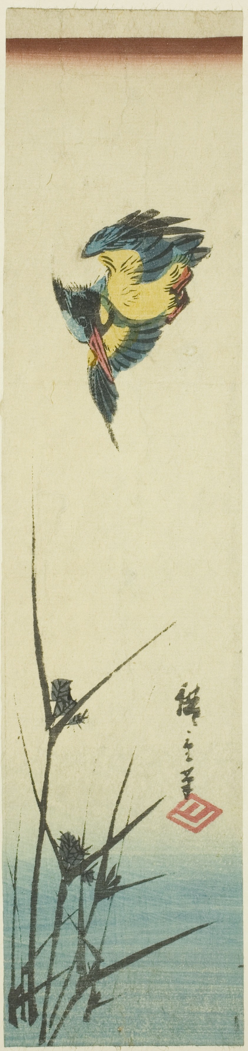 Kingfisher and reeds