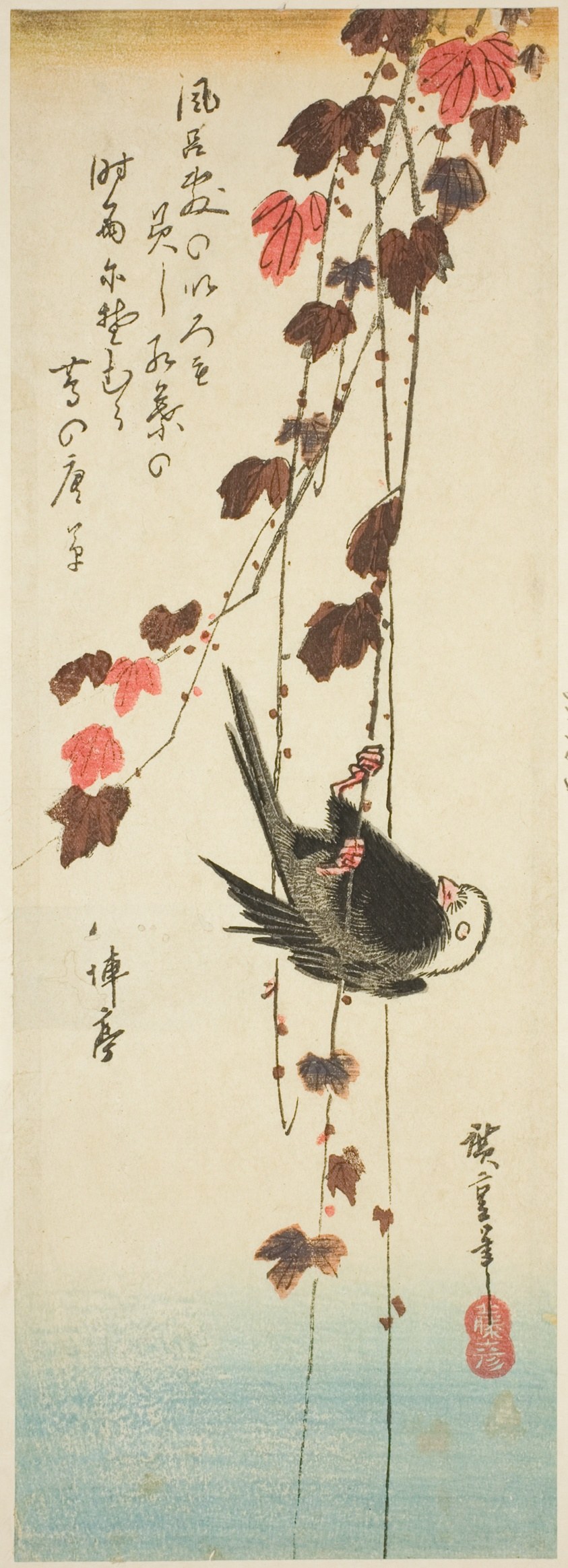 White-headed bird and ivy
