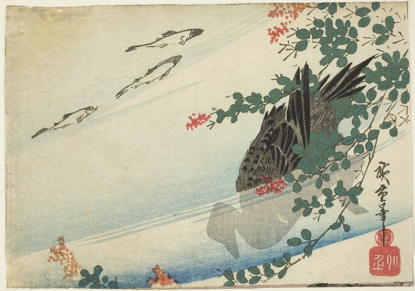 Trouts, duck, and bush clover