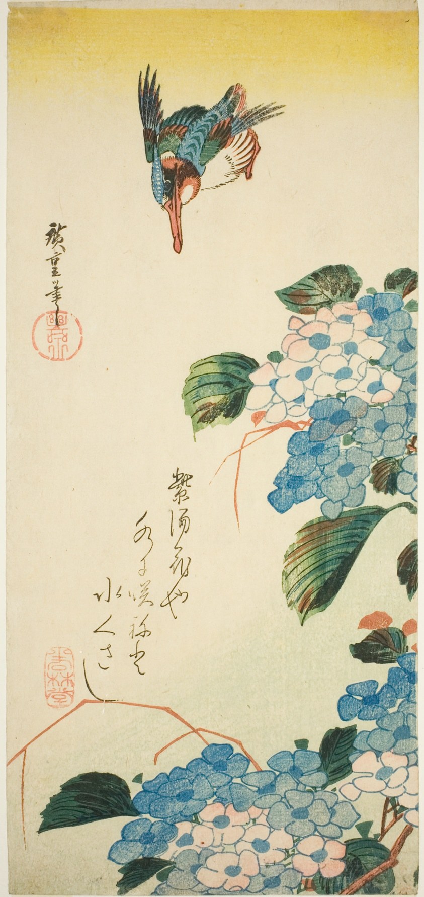 Kingfisher and hydrangea