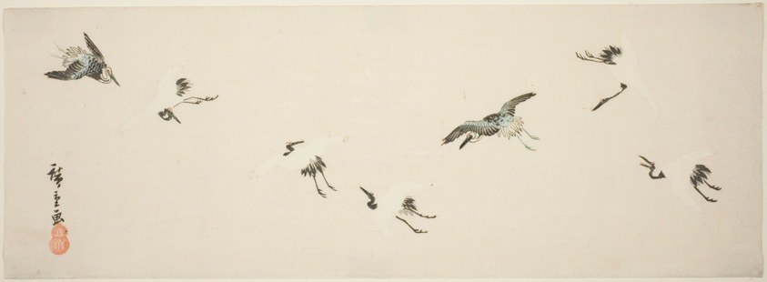 Cranes in flight