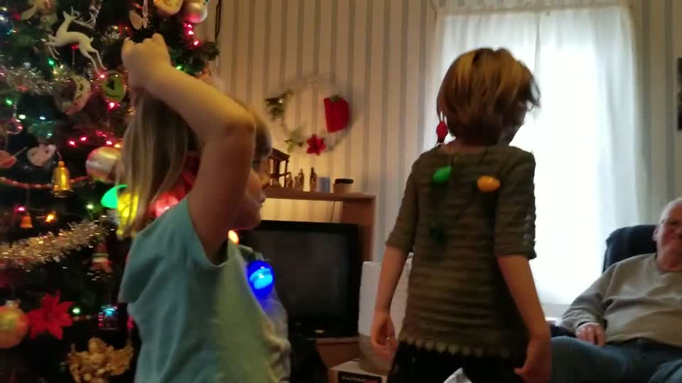 20181224_135124(1).mp4