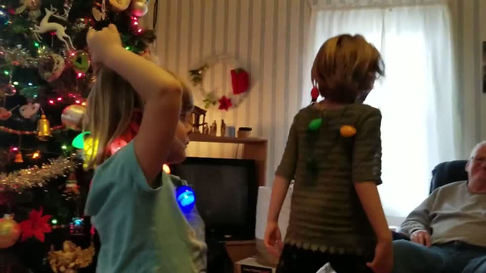 20181224_135124.mp4